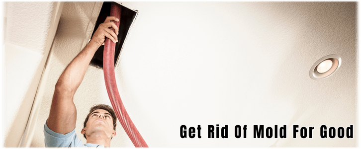 Air Duct Mold Removal in Balch Springs TX